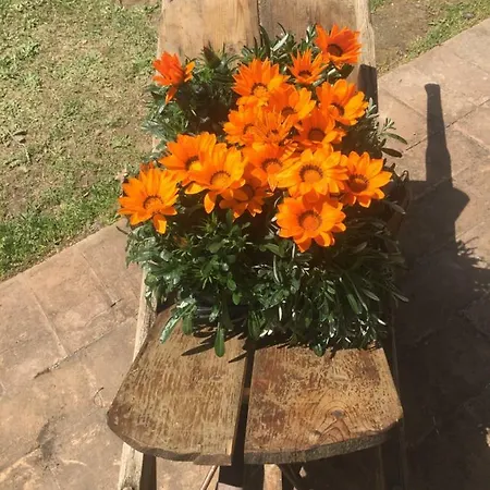 Gusto E Benessere Country House Sacrofano