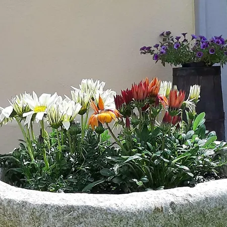 Gusto E Benessere Country House Bed & Breakfast Sacrofano